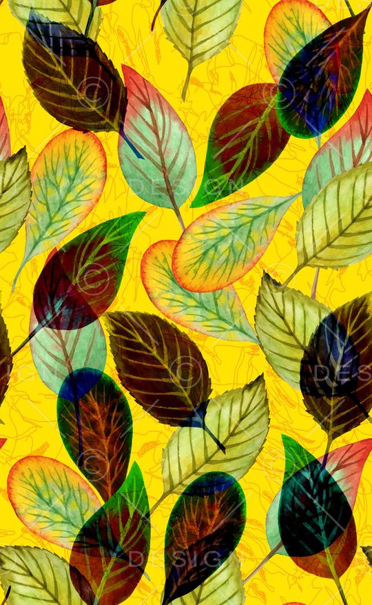 泳装印花华亿平台图片