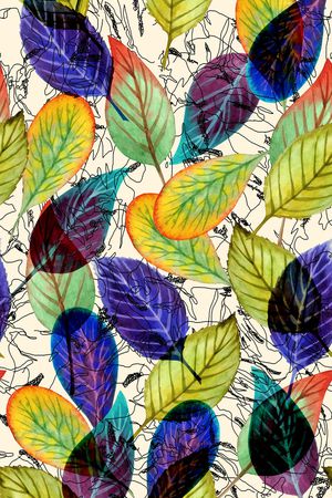 泳装印花华亿平台图片