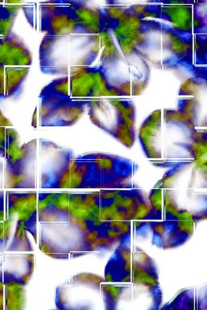 莫妮卡-女装华亿平台印花华亿平台图片