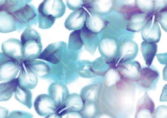 莫妮卡-女装华亿平台印花华亿平台图片