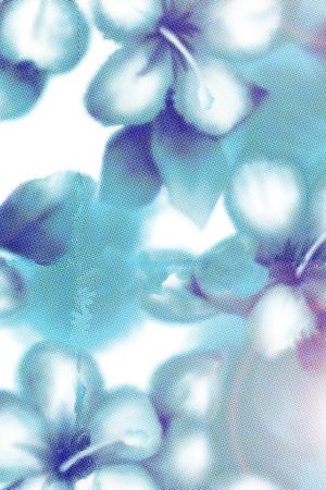 莫妮卡-女装华亿平台印花华亿平台图片