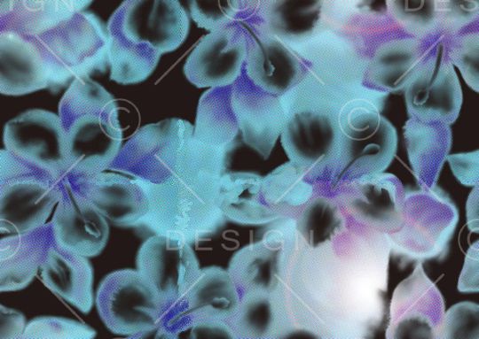 莫妮卡-女装华亿平台印花华亿平台图片