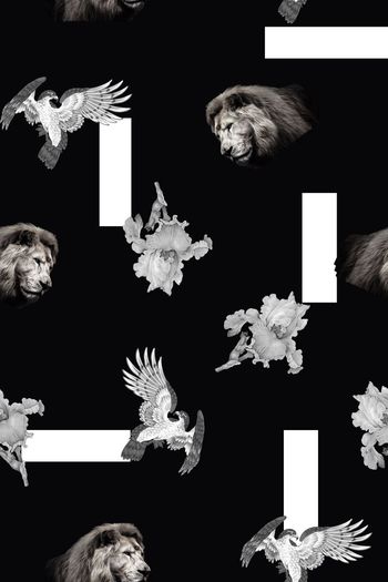 661859-男装时尚几何花卉老虎老鹰 黑色底