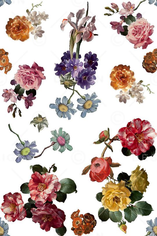 玫瑰印花华亿平台图片