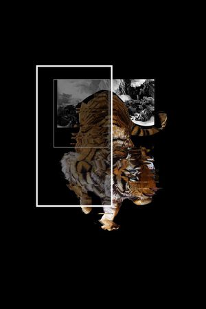 绣花肌理老虎时尚潮牌男装华亿平台印花华亿平台图片