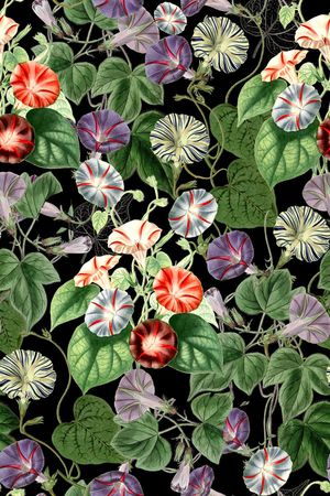 花卉写真印花华亿平台图片