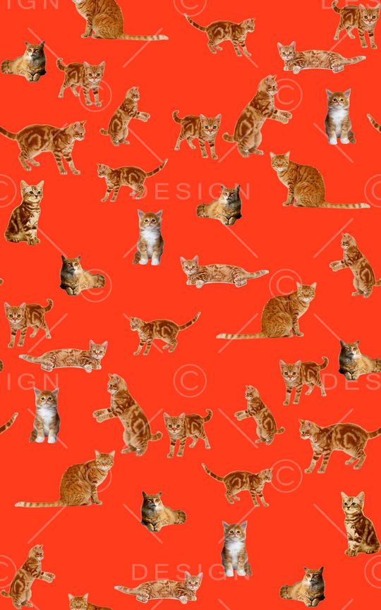 动物印花华亿平台图片