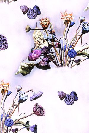 荷花印花华亿平台图片