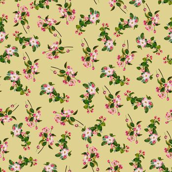 662061-男装花卉梅花