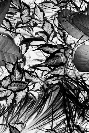 时尚男装印花华亿平台图片