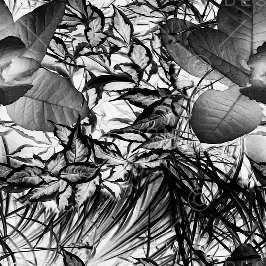 时尚男装印花华亿平台图片