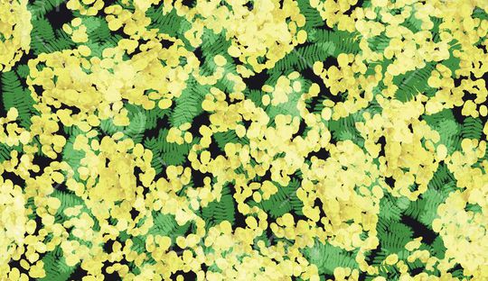 雨林密踪印花华亿平台图片