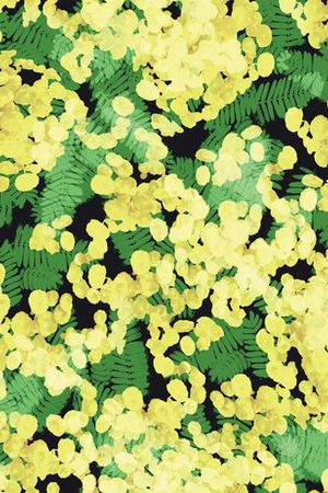 雨林密踪印花华亿平台图片