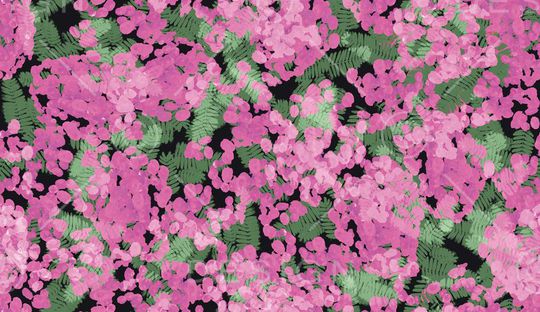 雨林密踪印花华亿平台图片