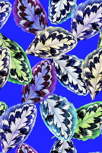 662153-2016-6-30水彩叶子1