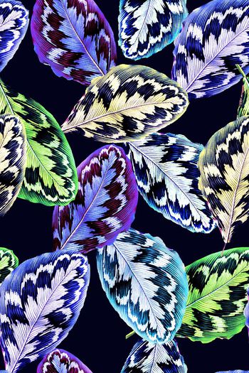 662154-2016-6-30水彩叶子2