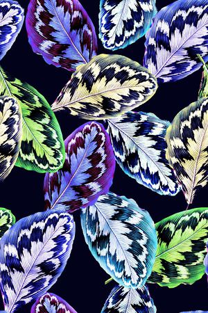 棕榈叶印花华亿平台图片