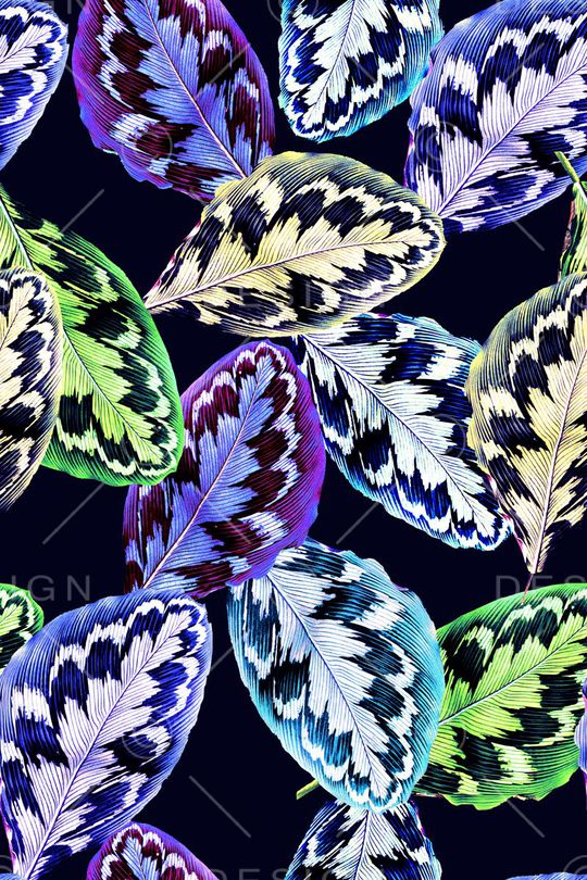 棕榈叶印花华亿平台图片