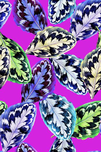 662155-2016-6-30水彩叶子3