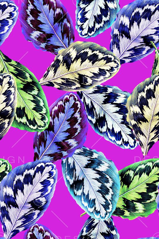 棕榈叶印花华亿平台图片