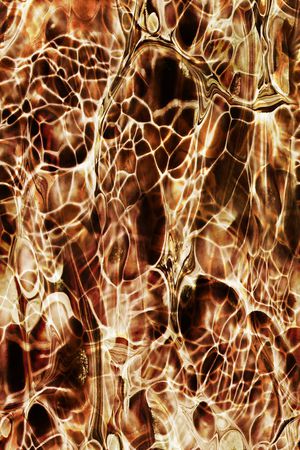 洋阳---动物纹印花华亿平台图片