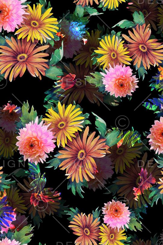 女装。花卉印花华亿平台图片