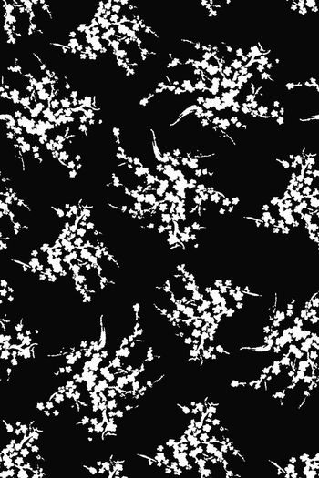 662294-男装黑白花卉 