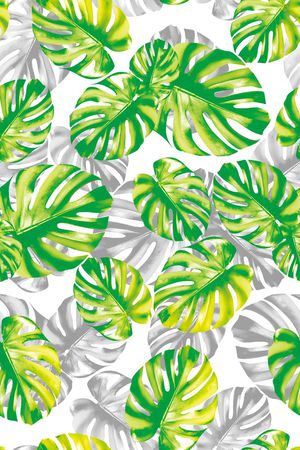 热带印花华亿平台图片