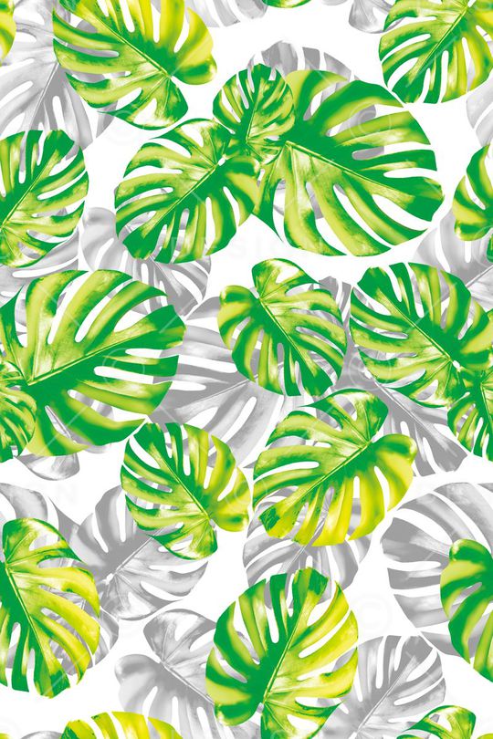 热带印花华亿平台图片