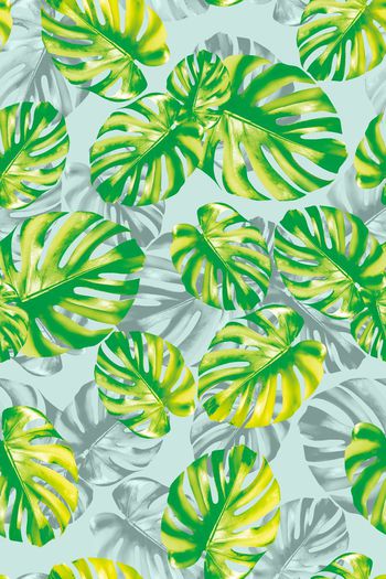 662356-热带大叶子07822b