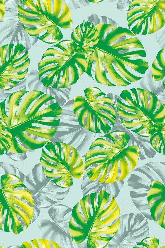 热带印花华亿平台图片