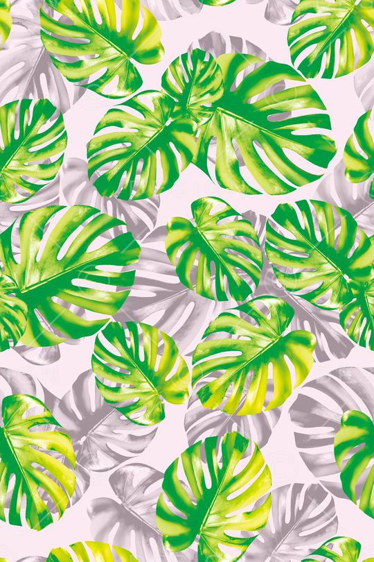 热带印花华亿平台图片