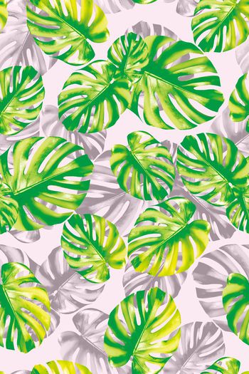 662357-热带大叶子07822c