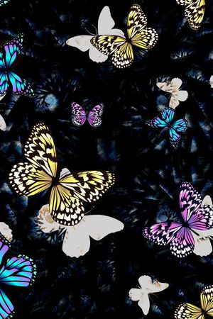 昆虫印花华亿平台图片