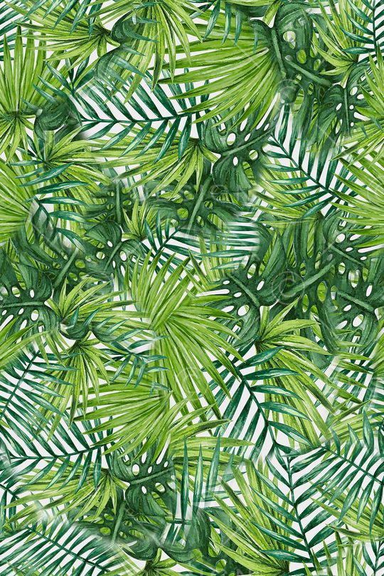 棕榈叶印花华亿平台图片