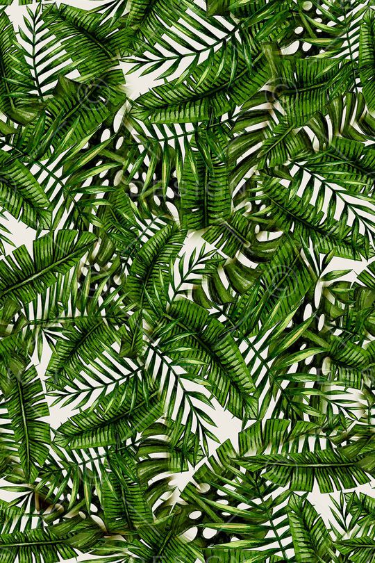 棕榈叶印花华亿平台图片