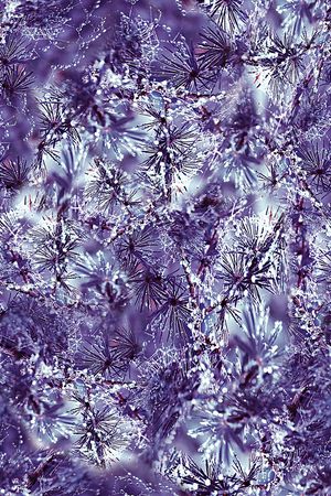 风景印花华亿平台图片