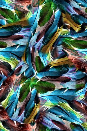 羽毛印花华亿平台图片