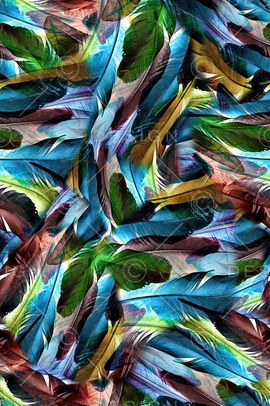 羽毛印花华亿平台图片