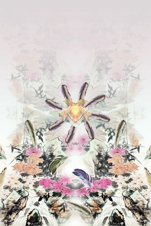 复古大气羽毛数码定位花卉印花华亿平台图片