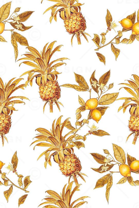 多肉植物印花华亿平台图片