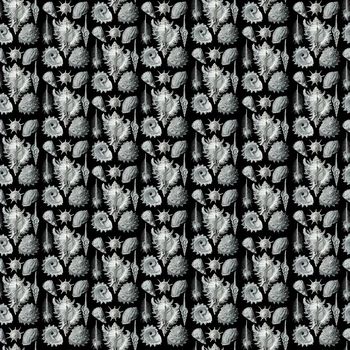 662522-男装贝壳黑白