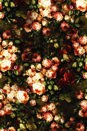 复古印花华亿平台图片