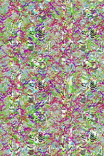 662622-炫彩几何动物纹理组合