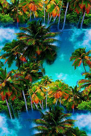 椰树印花华亿平台图片