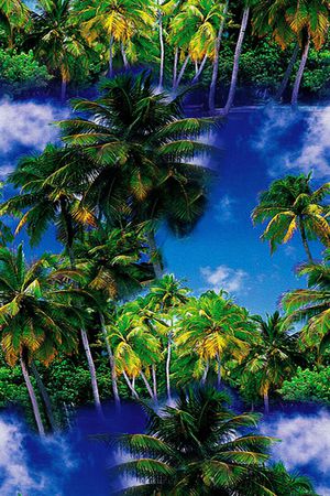 天空印花华亿平台图片