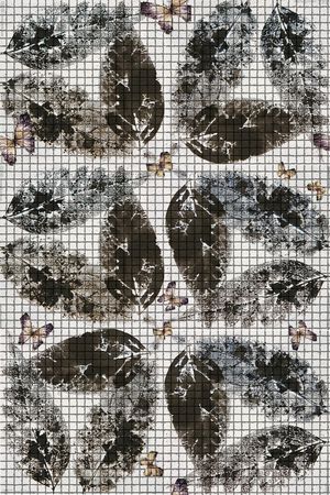 昆虫印花华亿平台图片