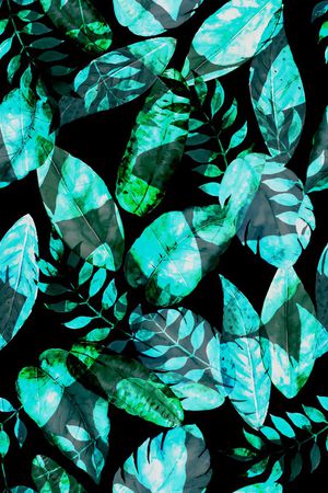 棕榈叶印花华亿平台图片