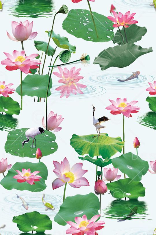 花鸟印花华亿平台图片