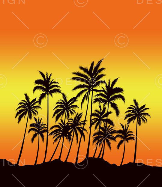 Fei-男装印花华亿平台图片